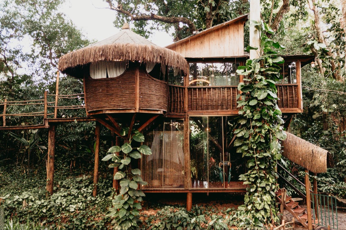 Casa na Árvore