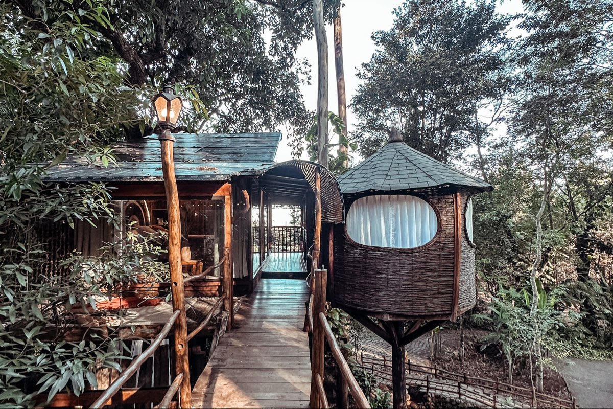 Casa na Árvore